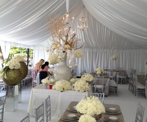 open tent draping over pool cover (2)